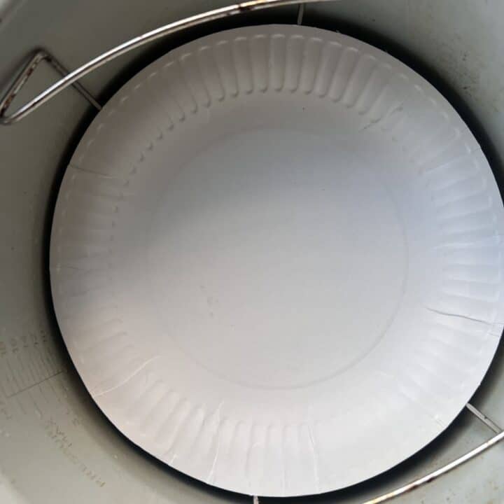 paper plate
